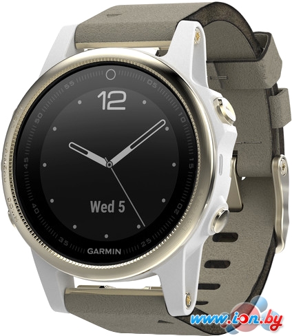 Умные часы Garmin Fenix 5S Sapphire 42mm (белый/серый) [010-01685-13] в Витебске