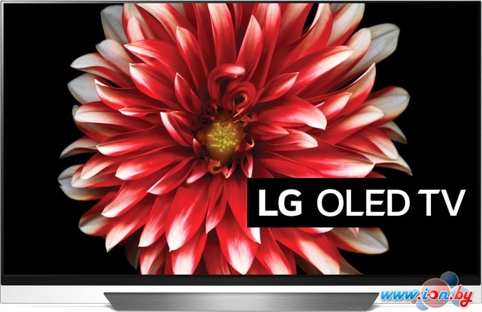 Телевизор LG OLED55E8 в Могилёве