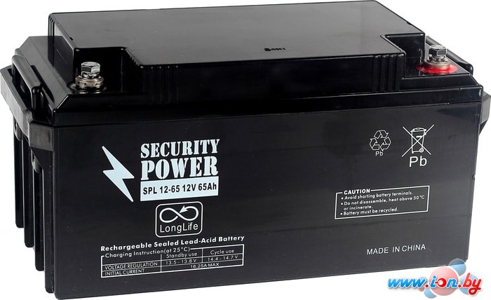 Аккумулятор для ИБП Security Power SPL 12-65 (12В/65 А·ч) в Бресте