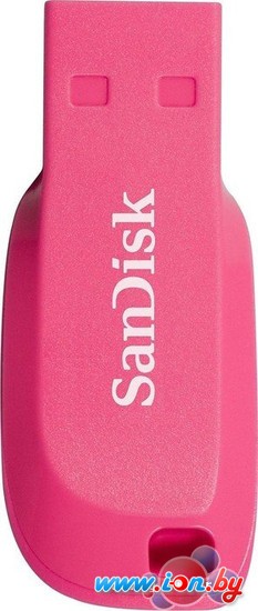 USB Flash SanDisk Cruzer Blade 16GB (розовый) [SDCZ50C-016G-B35PE] в Могилёве