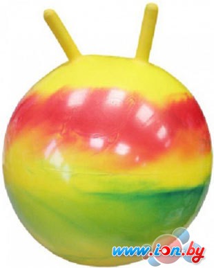 Мяч Arpax D 45 см (с рожками) в Гомеле