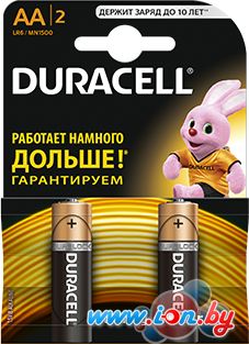 Батарейки DURACELL AA 2 шт. в Гомеле