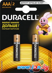 Батарейки DURACELL AAA 2 шт. в Гомеле