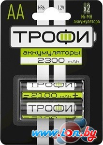 Аккумуляторы Трофи AA 2300mAh 2 шт [C0032100] в Гродно