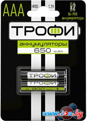 Аккумуляторы Трофи AAA 650mAh 2 шт. HR03-2BL в Минске