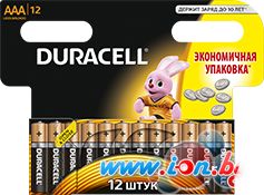 Батарейки DURACELL AAA 12 шт. в Витебске