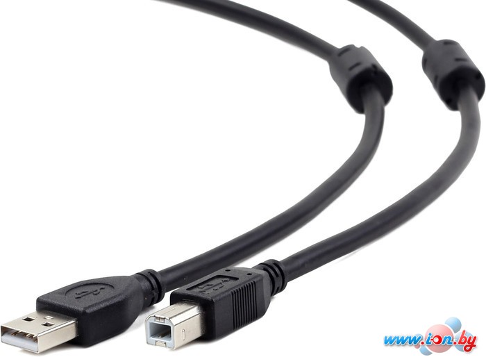 Кабель Cablexpert CCF2-USB2-AMBM-6 в Гомеле