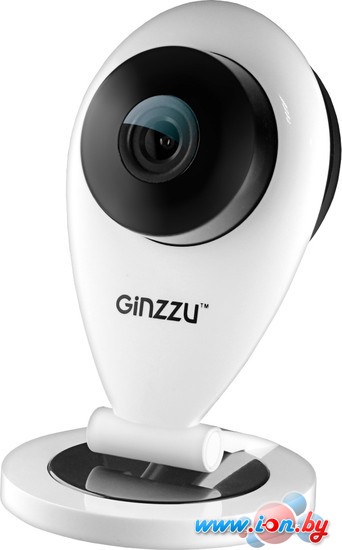IP-камера Ginzzu HWD-1031X в Гомеле