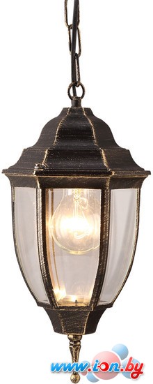 Уличный фонарь Arte Lamp Pegasus A3151SO-1BN в Гродно