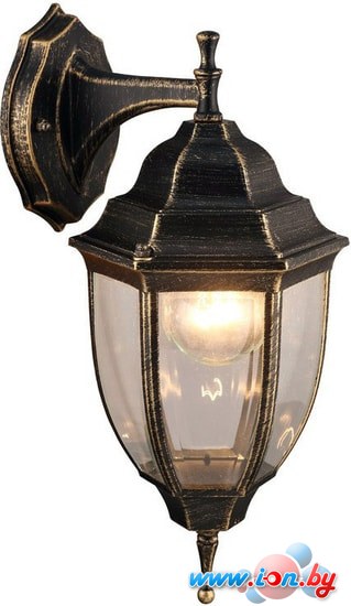 Уличный фонарь Arte Lamp Pegasus A3152AL-1BN в Могилёве