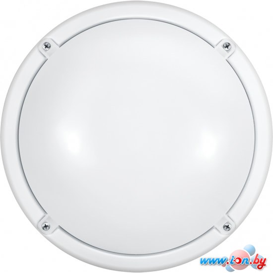 Лампа Онлайт OBL-R1-12-4K-WH-IP65-LED-SNRV в Бресте