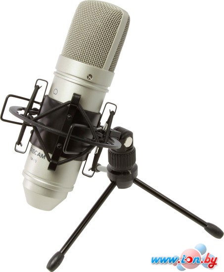 Микрофон TASCAM TM-80 в Гомеле