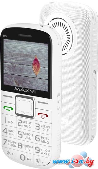 Мобильный телефон Maxvi B5 (белый) в Бресте