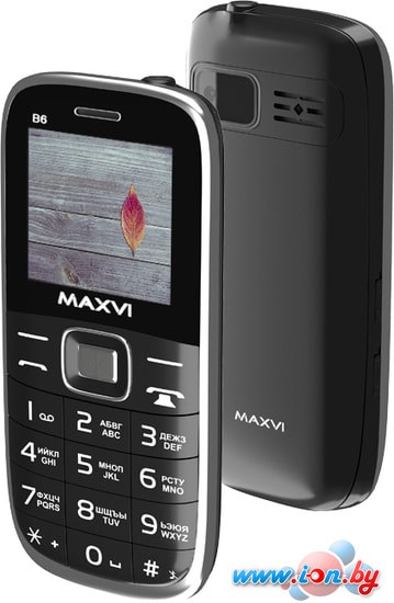 Мобильный телефон Maxvi B6 (черный) в Могилёве