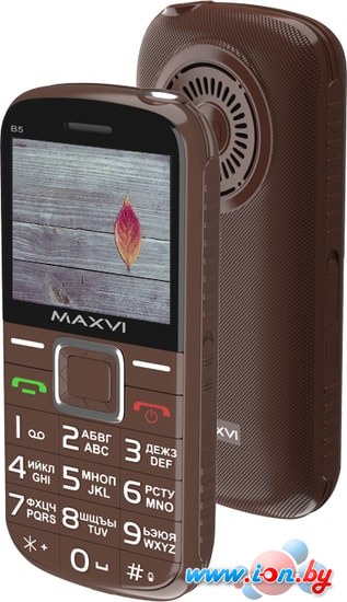 Мобильный телефон Maxvi B5 (коричневый) в Гомеле