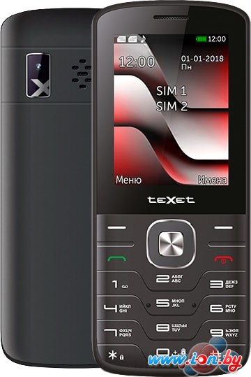Мобильный телефон TeXet TM-D329 (черный) в Бресте