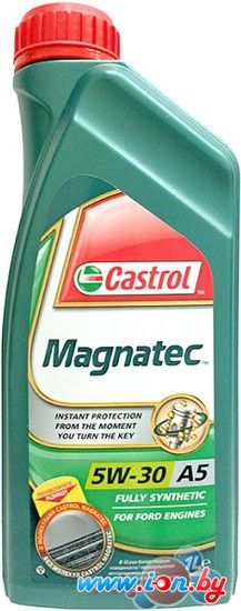 Моторное масло Castrol Magnatec 5W-30 A5 1л в Бресте