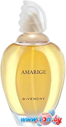 Givenchy Amarige EdT (100 мл) в Гомеле