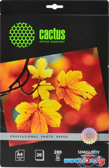 Фотобумага CACTUS полуглянцевая A4 280 г/кв.м. 20 листов [CS-SGA428020] в Могилёве