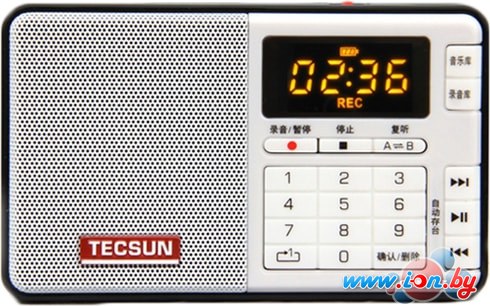 Радиоприемник Tecsun Q-3 (без аккумулятора и блока питания) в Гомеле