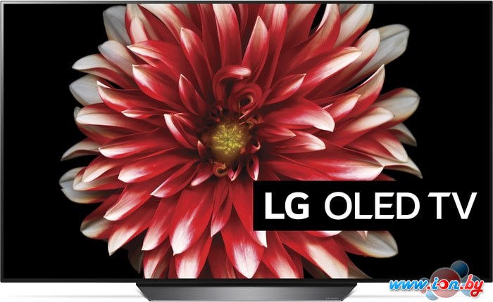 Телевизор LG OLED55B8 в Бресте