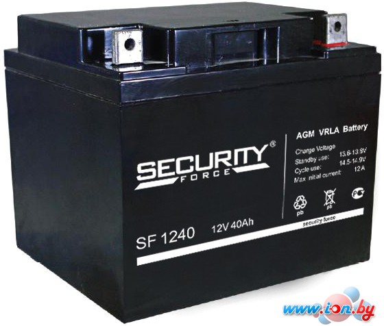 Аккумулятор для ИБП Security Force SF 1240 (12В/40 А·ч) в Бресте