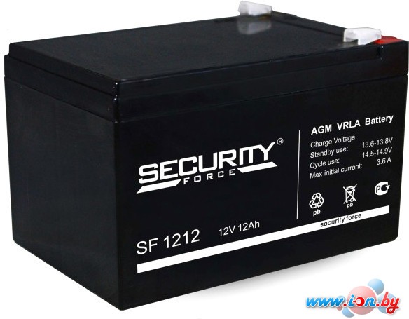 Аккумулятор для ИБП Security Force SF 1212 (12В/12 А·ч) в Бресте