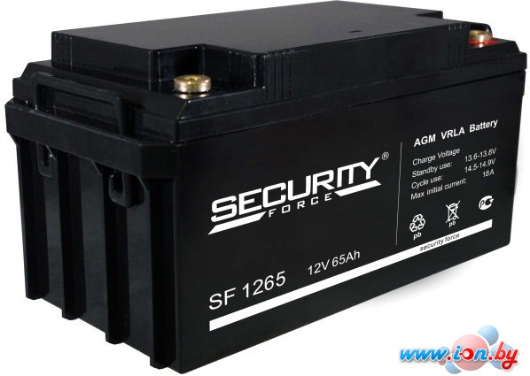 Аккумулятор для ИБП Security Force SF 1265 (12В/65 А·ч) в Бресте