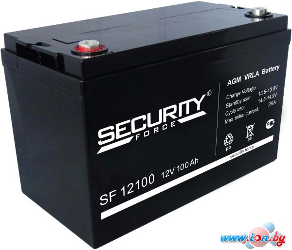 Аккумулятор для ИБП Security Force SF 12100 (12В/100 А·ч) в Бресте