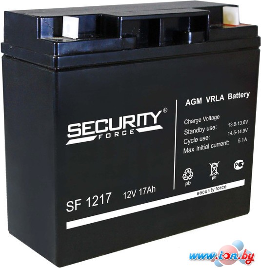 Аккумулятор для ИБП Security Force SF 1217 (12В/17 А·ч) в Витебске