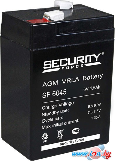Аккумулятор для ИБП Security Force SF 6045 (6В/4.5 А·ч) в Бресте