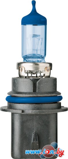 Галогенная лампа Flosser HB1 12V 65/45W P29t Blau 1шт [9004333] в Могилёве