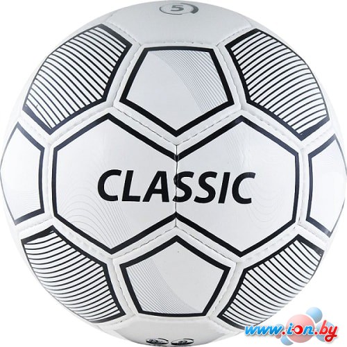 Мяч Torres Classic F10615 (5 размер) в Гродно