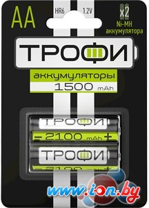 Аккумуляторы Трофи AA 1500mAh 2 шт. HR6-2BL в Витебске
