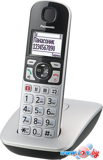 Радиотелефон Panasonic KX-TGE510RUS в Могилёве