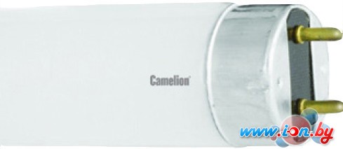 Люминесцентная лампа Camelion FT8-36W/BIO G13 36 Вт 6193 в Гомеле