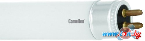 Люминесцентная лампа Camelion FT5-6W/33 G5 6 Вт 6205 в Могилёве