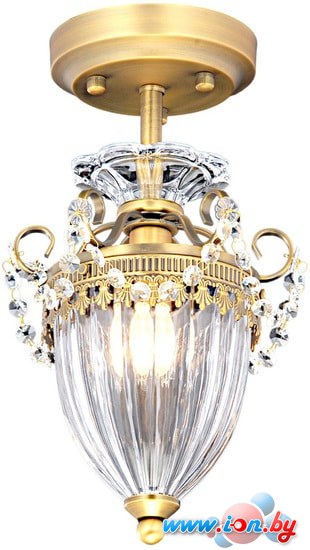 Лампа Arte Lamp Schelenberg A4410PL-1SR в Могилёве