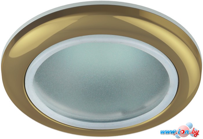 Точечный светильник ЭРА WR1 GD в Могилёве