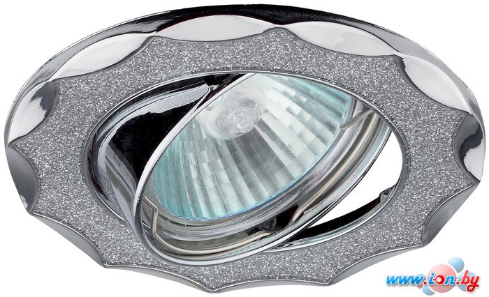 Точечный светильник ЭРА DK17 CH/SH SL (хром/серебристый) в Могилёве