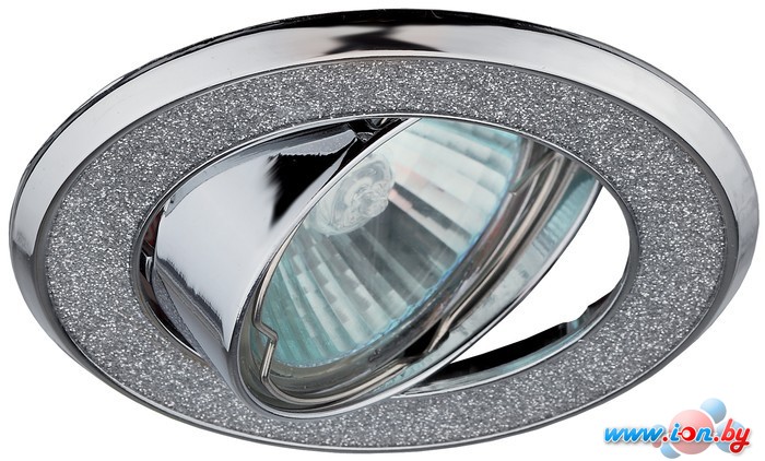 Точечный светильник ЭРА DK18 CH/SH SL (хром/серебристый) в Могилёве