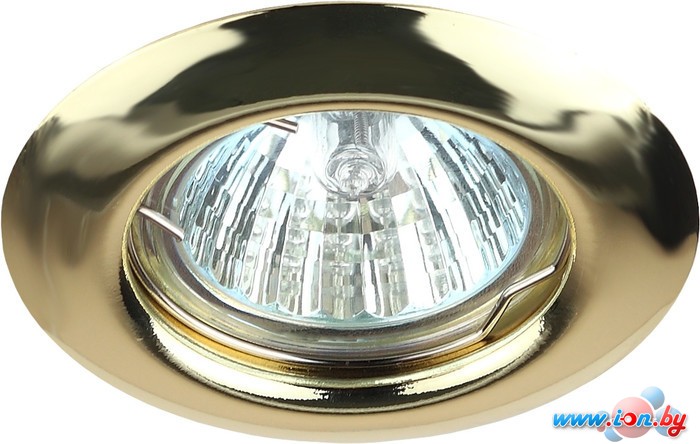 Точечный светильник ЭРА ST3 GD в Могилёве