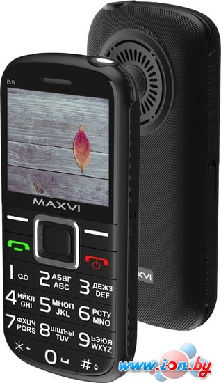 Мобильный телефон Maxvi B5 (черный) в Могилёве