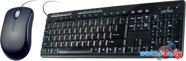 Мышь + клавиатура Perfeo PF-618/89-MM/OP в Бресте