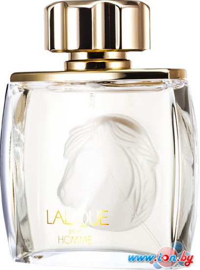 Lalique Equus Pour Homme EdP (75 мл) в Витебске