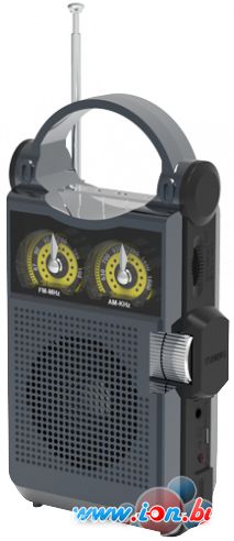 Радиоприемник Ritmix RPR-333 (черный) в Гомеле