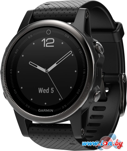 Умные часы Garmin Fenix 5S Sapphire 42mm (черный/черный) [010-01685-11] в Витебске