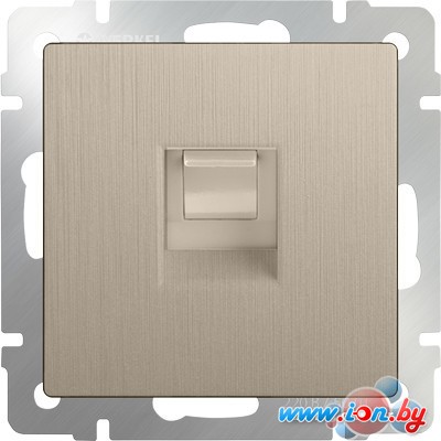 Розетка компьютерная Werkel WL10-RJ-45 (шампань рифленый) в Могилёве