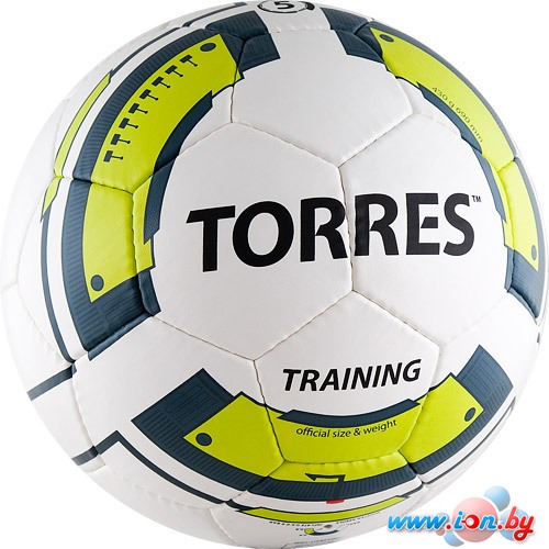 Мяч Torres Training (размер 5) [F30055] в Гомеле