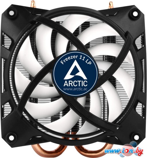 Кулер для процессора Arctic Freezer 11 LP UCACO-P2000000-BL в Гродно